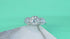 18K Round Moissanite 3 Stone Halo Engagement Ring Alaina